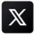 x logo